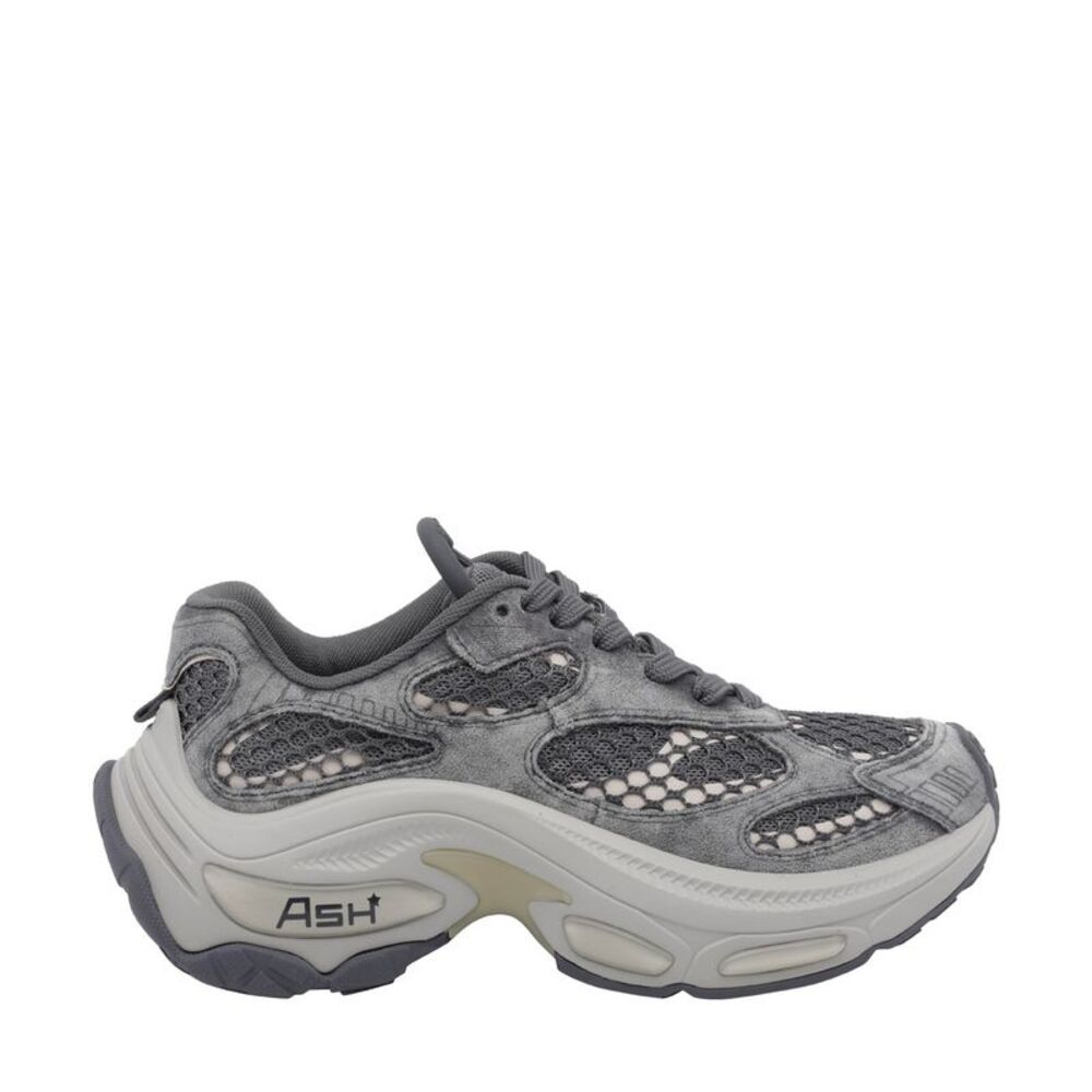 Ash Women Dragon Sneakers